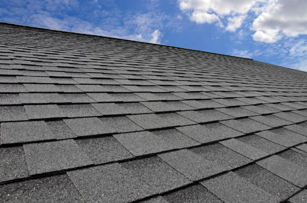 Best Roof Moss and Algae Removal  in Lake City, PA